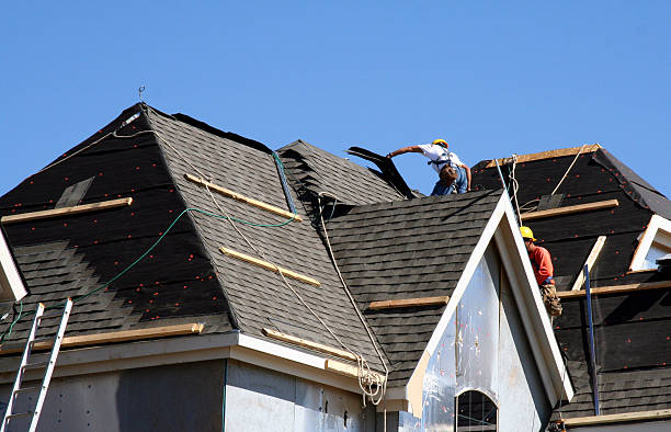 Best Storm Damage Roof Repair  in Newton, IL